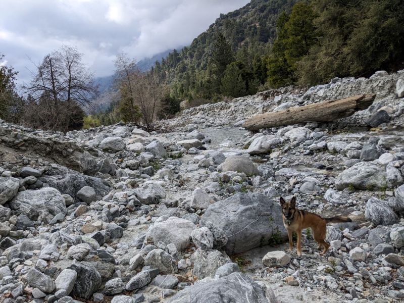 Bread, brie, and caffeine-free coffee in the bred and breakfast…